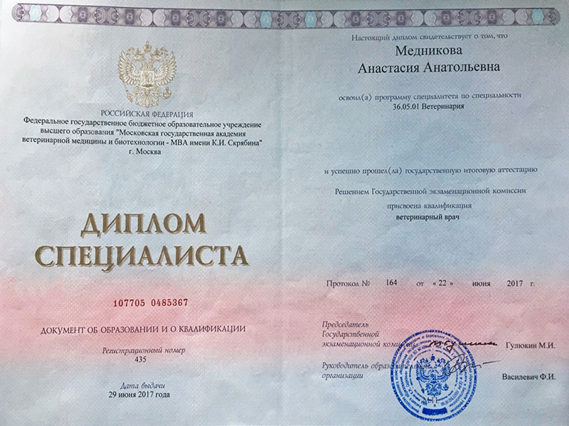 Ветеринарная клиника в СДТ Искра