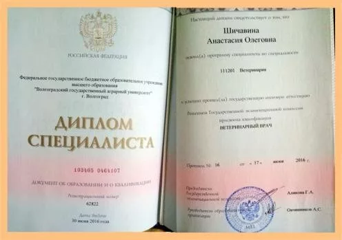 Ветеринарная клиника в СДТ Искра